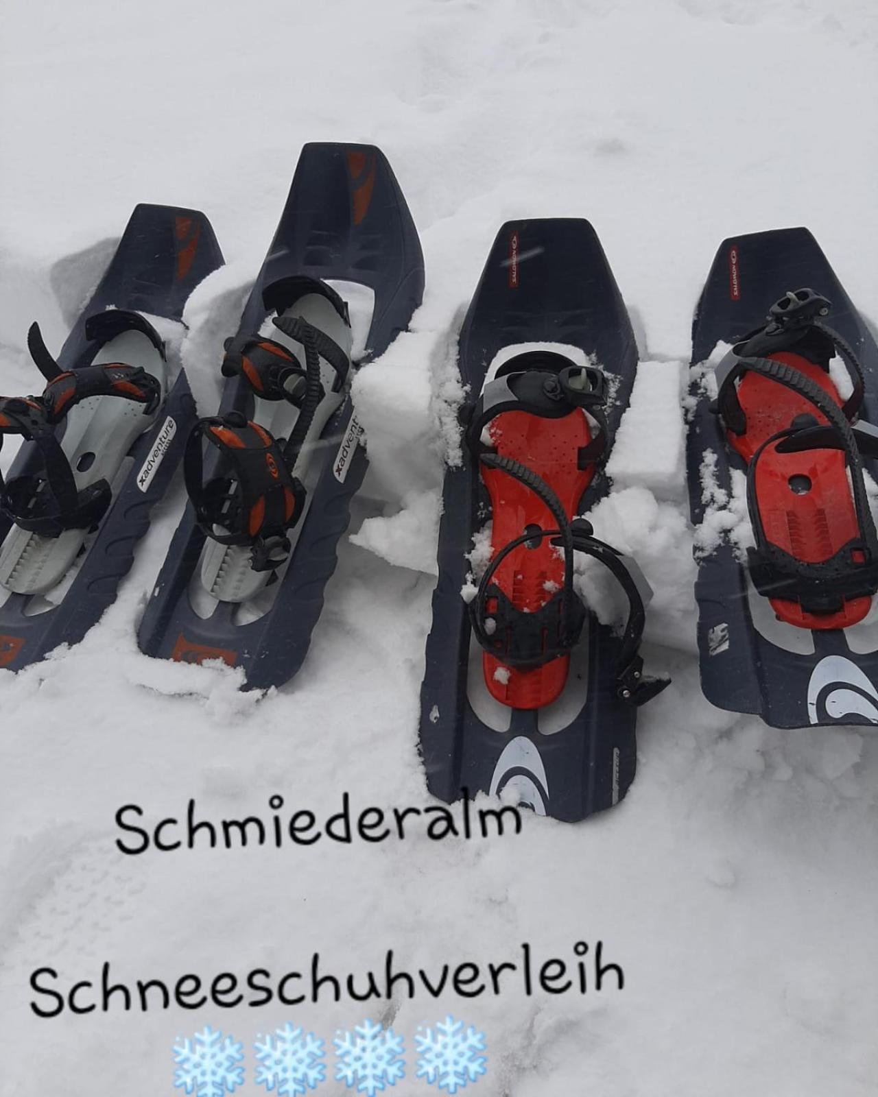 Gasthof Schmiederalm ألدينو المظهر الخارجي الصورة