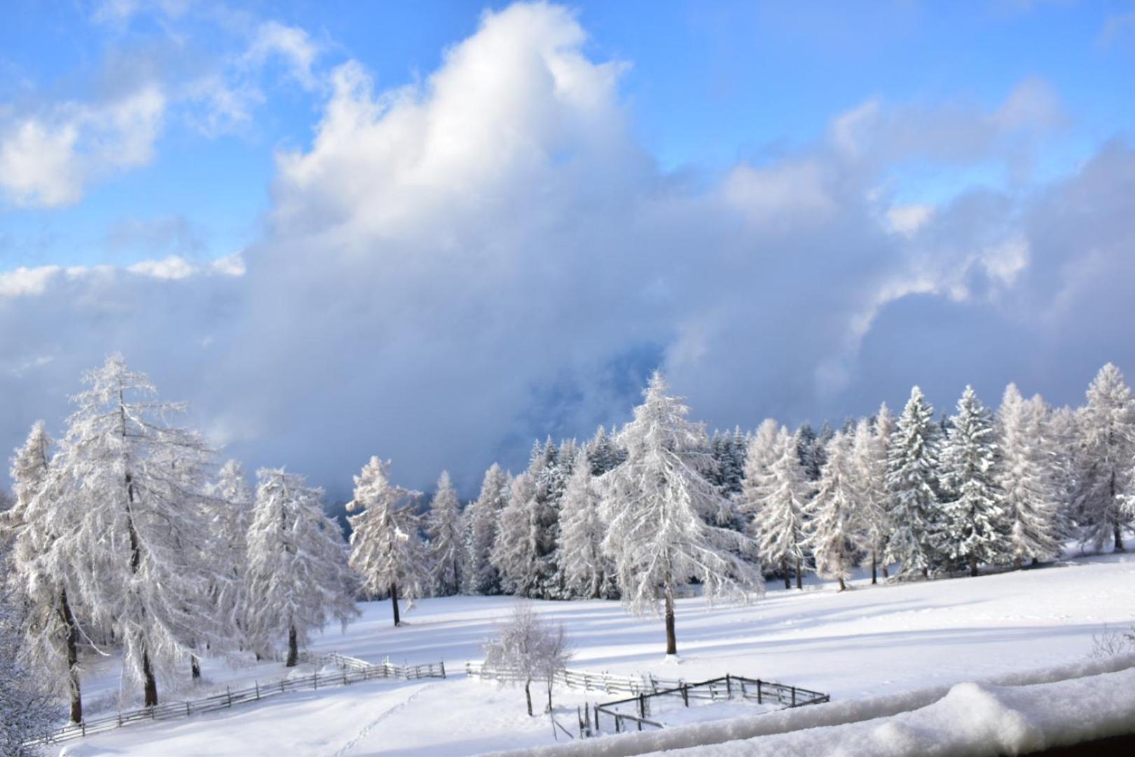 Gasthof Schmiederalm ألدينو المظهر الخارجي الصورة