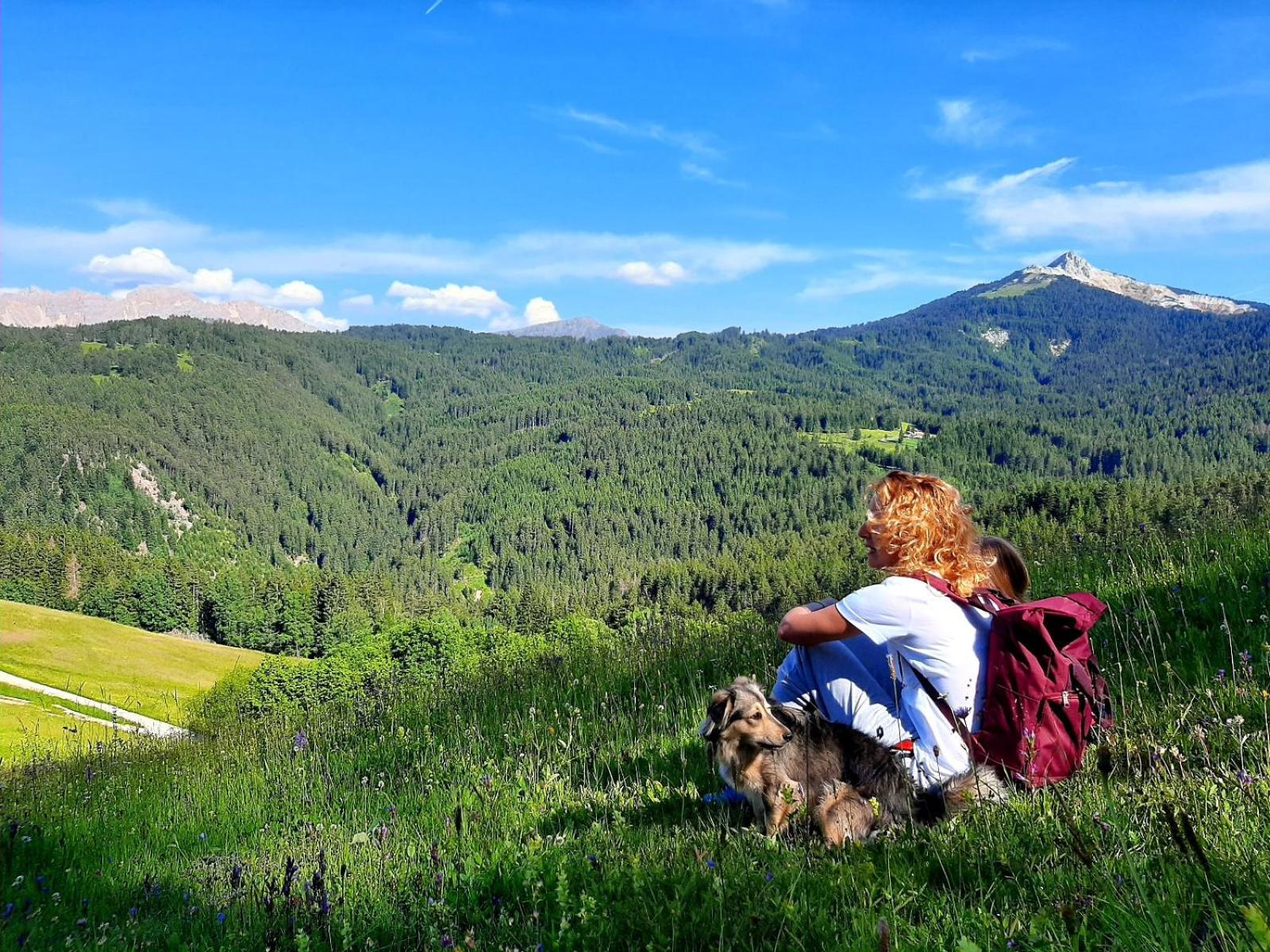 Gasthof Schmiederalm ألدينو المظهر الخارجي الصورة